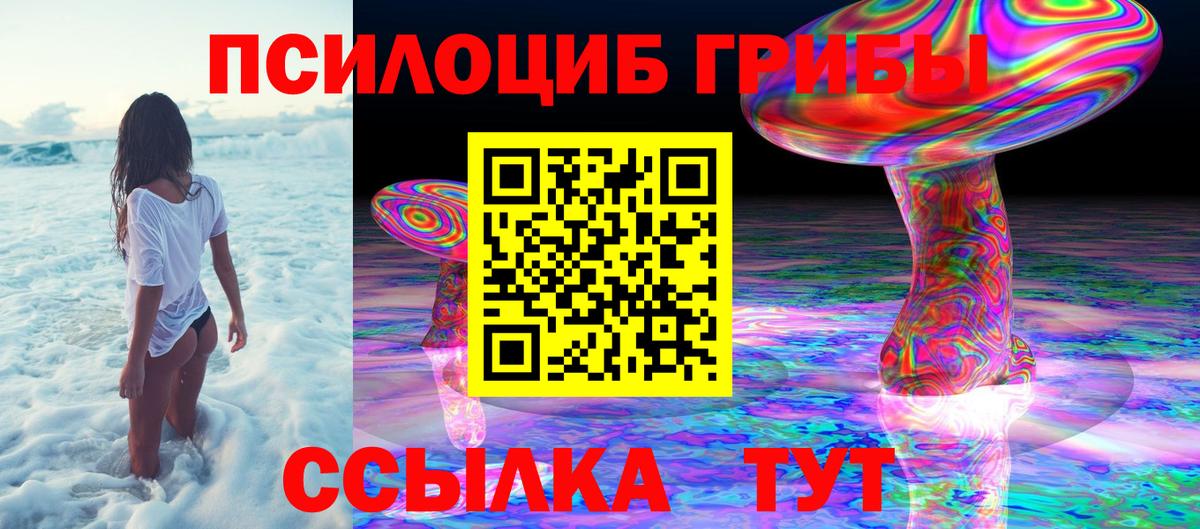 Псилоцибиновые грибы Cubensis  Вход с VPN  купить закладку  Ханты-Мансийск  Псилоцибиновые грибы Psilocybine cubensis 